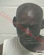 Booking photo of FREAMON HOLT Jr., Giles County, May 27, 2018