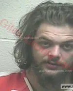 Booking photo of Dylan Gage Henson, Giles County, Apr 15, 2016