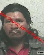 Booking photo of Lorenzo Martin Perez, Giles County, Nov 10, 2019