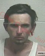 Booking photo of HUGH THOMPSON HERRINGTON Jr., Giles County, May 24, 2016