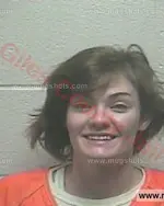 Booking photo of Loren Ashley Dyer, Giles County, Feb 13, 2018