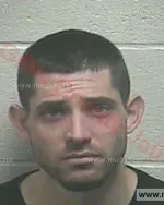 Booking photo of Dylan Houston Burgess, Giles County, Nov 19, 2017