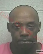 Booking photo of Chase Allen Holt, Giles County, Sep 29, 2017