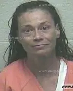 Booking photo of Lisa Ann Going, Giles County, Jul 7, 2015