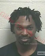 Booking photo of Alfonza Leray Ferguson, Giles County, Jun 1, 2017