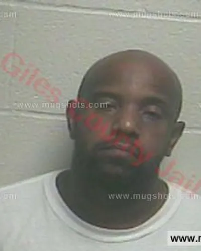 Booking photo of WILLIAM ERICKSON WHITE JR Sr., Giles County, Aug 21, 2016