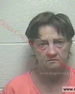 Booking photo of Connie Sue Norwood, Giles County, Aug 25, 2015