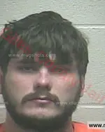 Booking photo of Oskars Reinfelds, Giles County, Jun 10, 2017