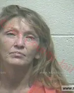Booking photo of Patricia Dean Waldrop, Giles County, Apr 18, 2018