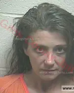 Booking photo of Aleeta Rose Raymond, Giles County, Apr 30, 2016