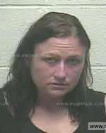 Booking photo of Tammy Pennington Baker, Giles County, Jun 21, 2014