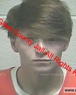 Booking photo of Natasha Delaine Johnson, Giles County, Dec 25, 2018