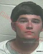 Booking photo of Steven Christopher Medley, Giles County, Sep 15, 2016