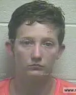 Booking photo of Layla Michelle Gowder, Giles County, Dec 1, 2013