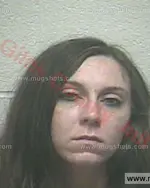 Booking photo of Courtney Nicole Burchell, Giles County, Jul 20, 2017
