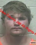 Booking photo of Alexander Maurice Dean, Giles County, Feb 15, 2020