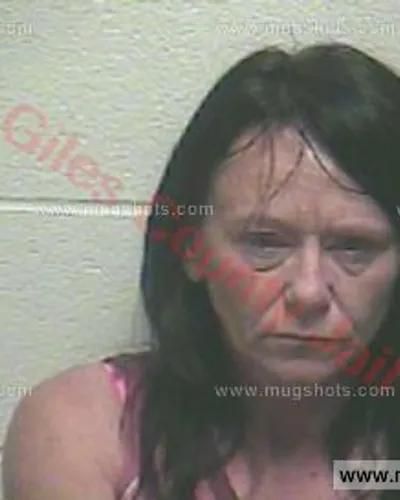 Booking photo of Theresa Dawn Duke, Giles County, Sep 5, 2015