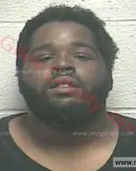 Booking photo of William Jamal Mcelroy, Giles County, May 6, 2018