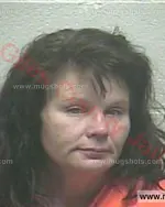Booking photo of Michelle Lee Jones, Giles County, Jan 22, 2018