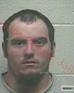 Booking photo of Tyler David Henry, Giles County, Mar 25, 2018