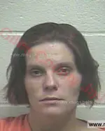 Booking photo of Heather Marie Evans, Giles County, Dec 20, 2017