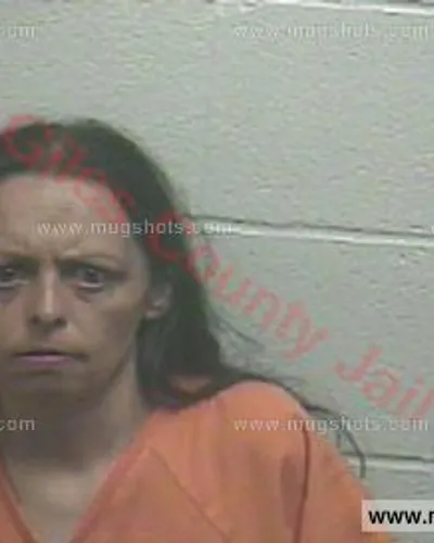 Booking photo of Evalyn Raines, Giles County, Apr 2, 2016