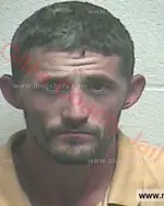 Booking photo of Justin Dean Burchell, Giles County, Nov 12, 2016