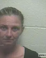 Booking photo of Amanda Carol Magness, Giles County, Apr 29, 2013