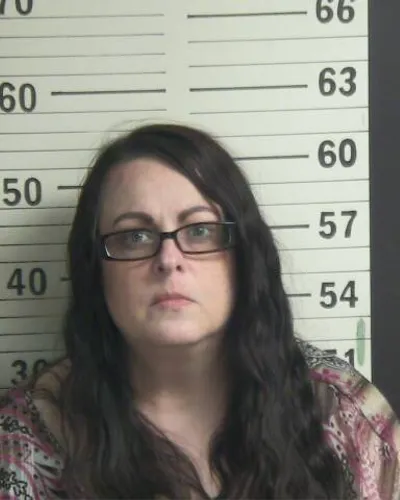 Booking photo of STEPHANIE WEBB, Hamblen County, Feb 20, 2026