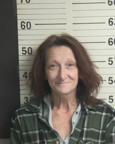 Booking photo of MELISSA L WILCOX, Hamblen County, Feb 23, 2026