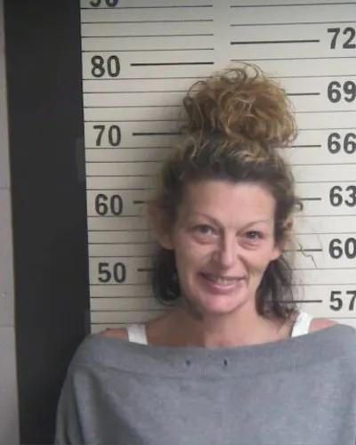 Booking photo of CRYSTAL G MCDANIEL, Hamblen County, Nov 20, 2025