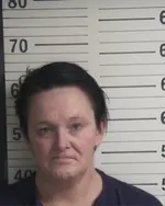 Booking photo of Aimee Renee Holt, Hamblen County, Feb 13, 2026