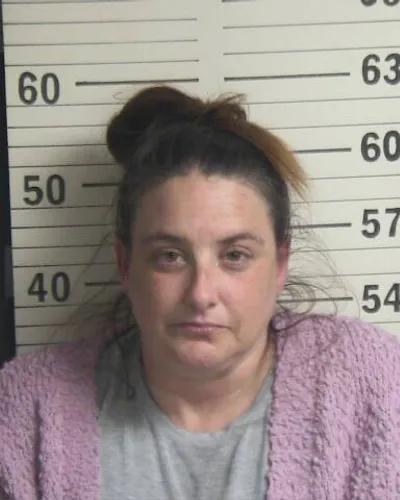 Booking photo of CHRISTINA D WISE, Hamblen County, Jan 29, 2026