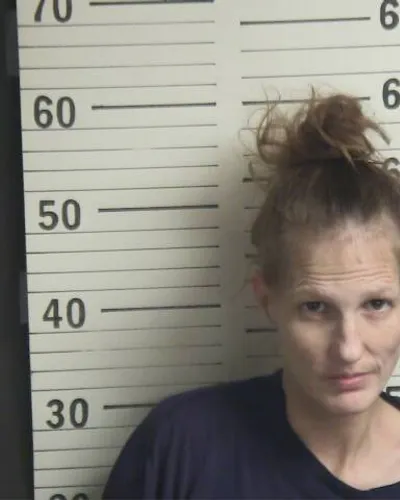 Booking photo of VICTORIA WILLFORD, Hamblen County, Feb 12, 2026