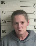 Booking photo of MELISSA S BULL, Hamblen County, Feb 10, 2026