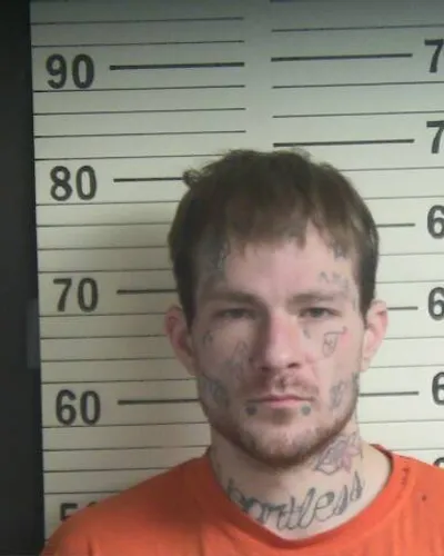 Booking photo of DAVID SHEPARD, Hamblen County, Feb 5, 2026