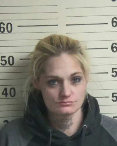 Booking photo of NIKKI LAWSON, Hamblen County, Jan 28, 2026