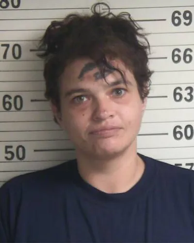 Most recent booking photo for JOHNNIE R LONG