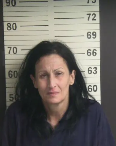 Booking photo of MELISSA I BOWLIN, Hamblen County, Feb 21, 2026