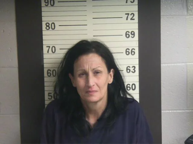 Booking photo of MELISSA BOWLIN, Hamblen County, 2026-02-21