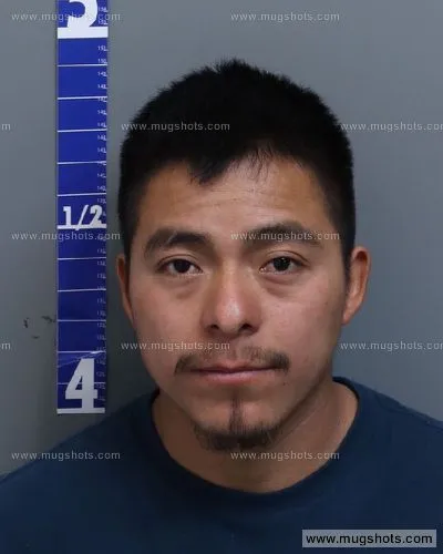 Booking photo of Alvaro Sanchez-lopez, Hamilton County, Mar 7, 2022