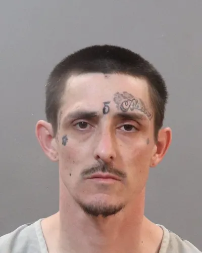 Booking photo of David Alexander Mcgown, Knox County, Mar 11, 2025