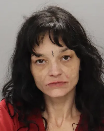 Booking photo of Elizabeth Marie Blevins, Knox County, Feb 22, 2026