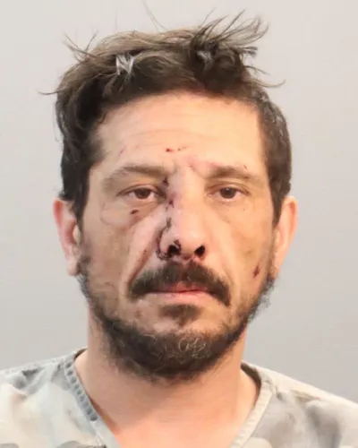 Most recent booking photo for Jamie Lee Brown