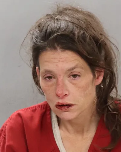 Booking photo of Cassandra Nicole Grimes, Knox County, Feb 18, 2026