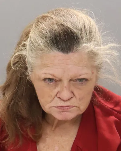 Booking photo of Pamela Denise Davis, Knox County, Feb 10, 2026