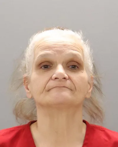 Booking photo of Alene Natale, Knox County, Feb 23, 2026