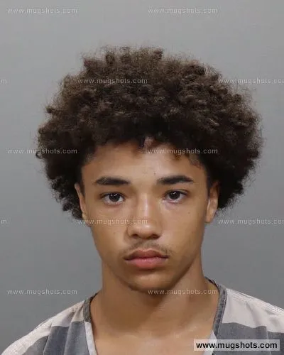 Booking photo of NOAH LANGSTON, Knox County, Jun 15, 2021