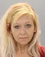 Booking photo of Tanya Dawn Everett, Knox County, Feb 20, 2026