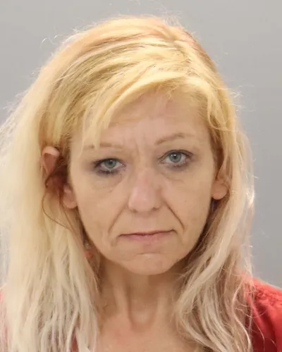 Most recent booking photo for Tanya Dawn Everett